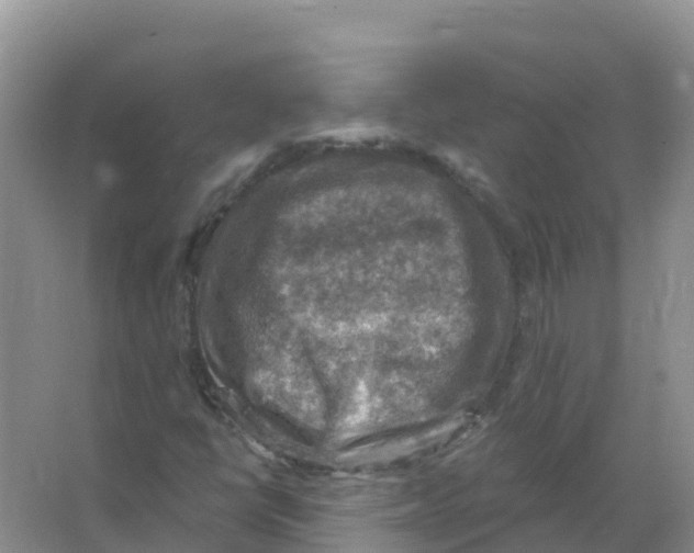 X0000066951398200604142037