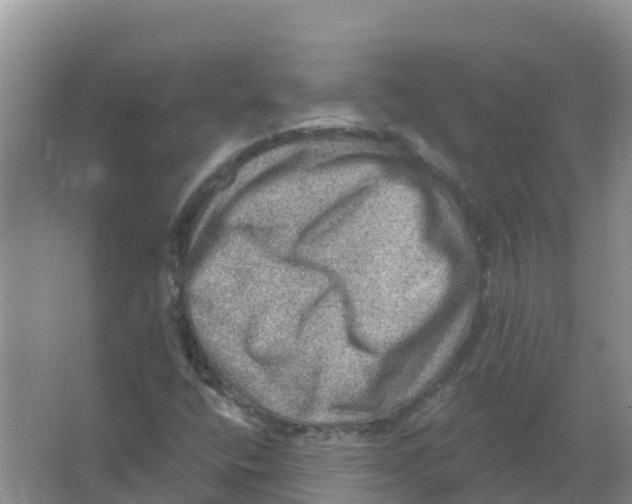 X0000066951400200604142037