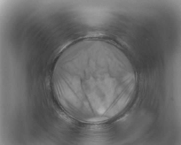 X0000066951401200604142037