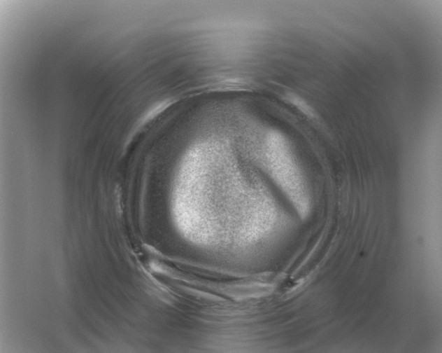 X0000066951402200604142037