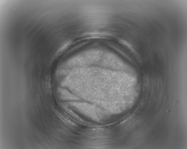 X0000066951403200604142037