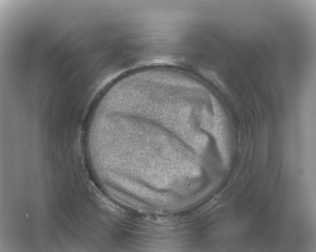 X0000066951404200604142037