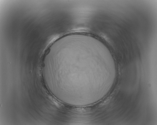 X0000066951405200604142037