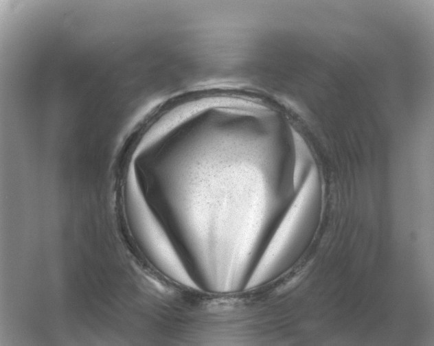 X0000066951406200604142037