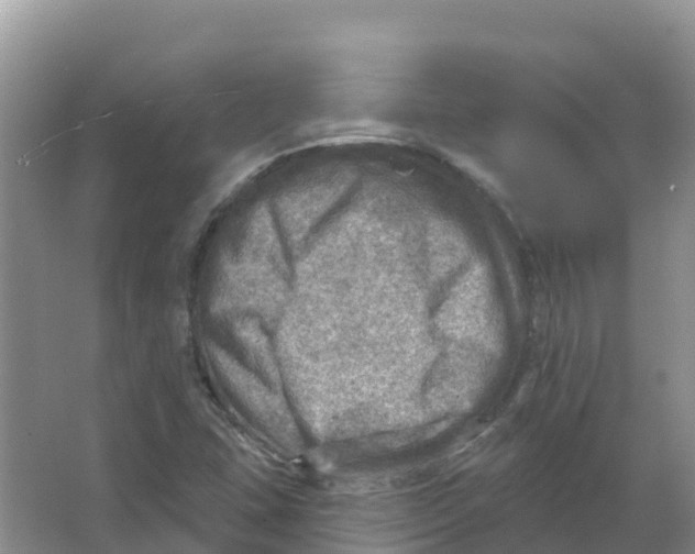 X0000066951407200604142037