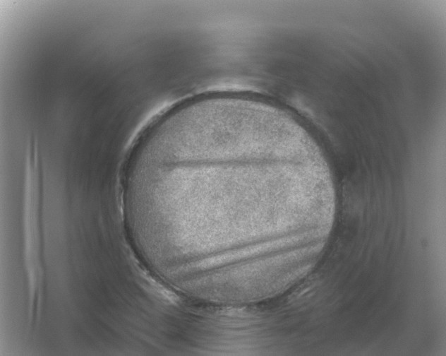 X0000066951408200604142037