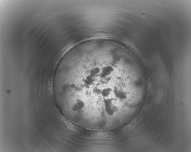 X0000066951409200604142037