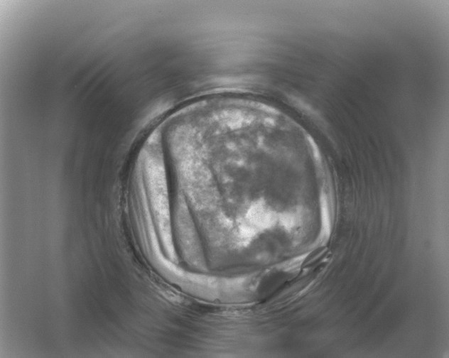 X0000066951411200604142037