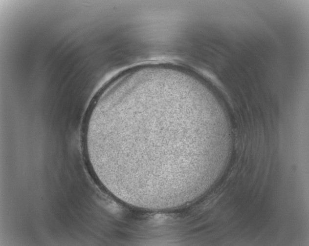 X0000066951412200604142037