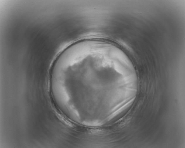 X0000066951413200604142037