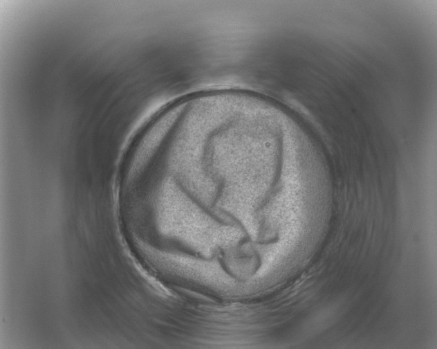 X0000066951416200604142037