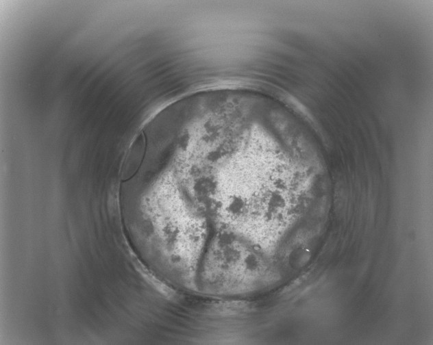 X0000066951417200604142037