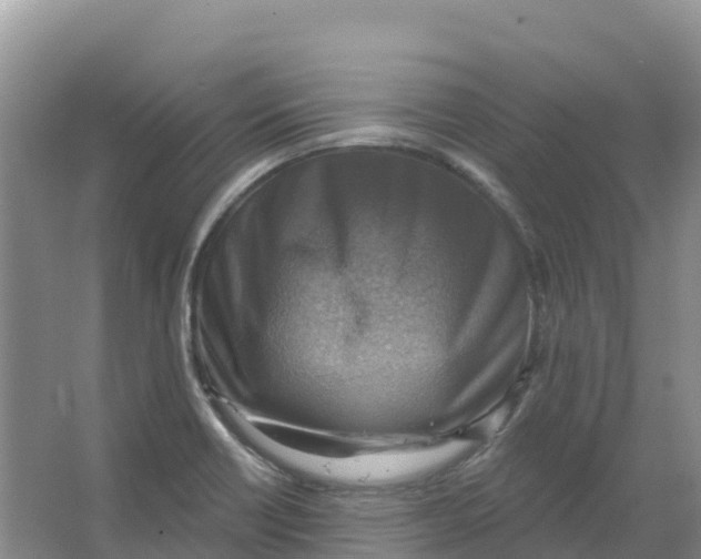 X0000066951418200604142038