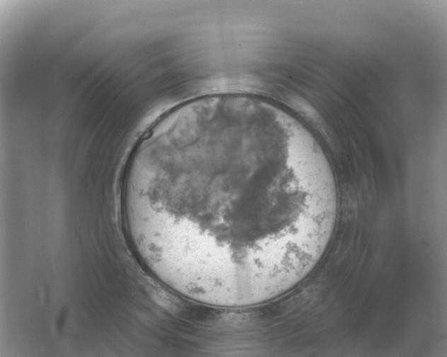 X0000066951419200604142038