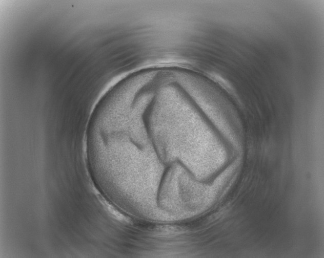 X0000066951420200604142038