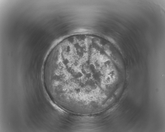 X0000066951421200604142038