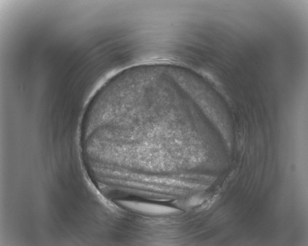 X0000066951422200604142038