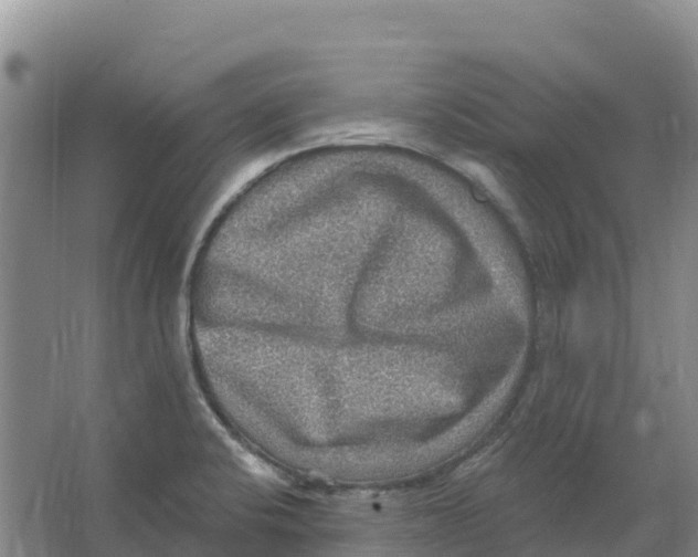 X0000066951424200604142038