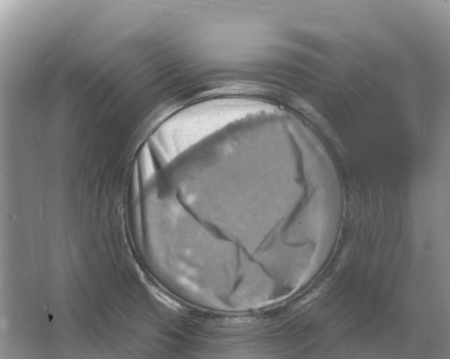 X0000066951425200604142038