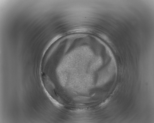 X0000066951426200604142038