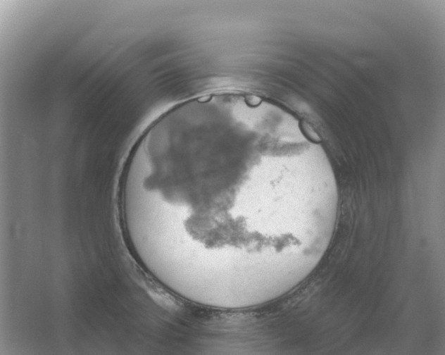 X0000066951427200604142038