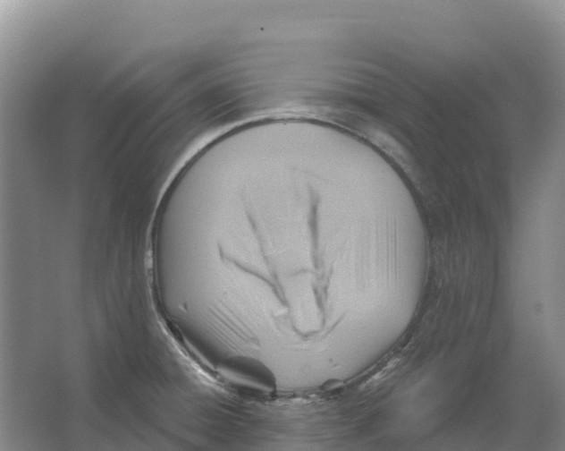 X0000066951428200604142038