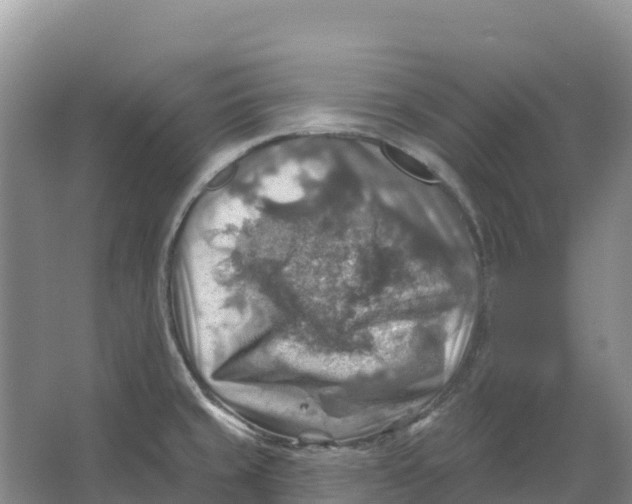 X0000066951429200604142038