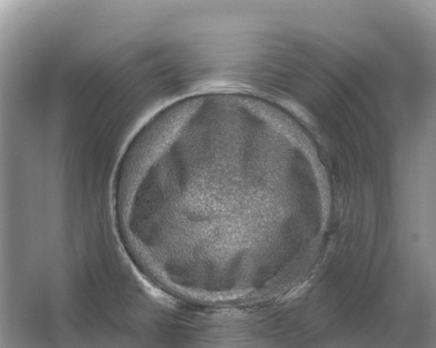 X0000066951430200604142038