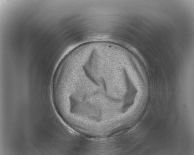 X0000066951432200604142038