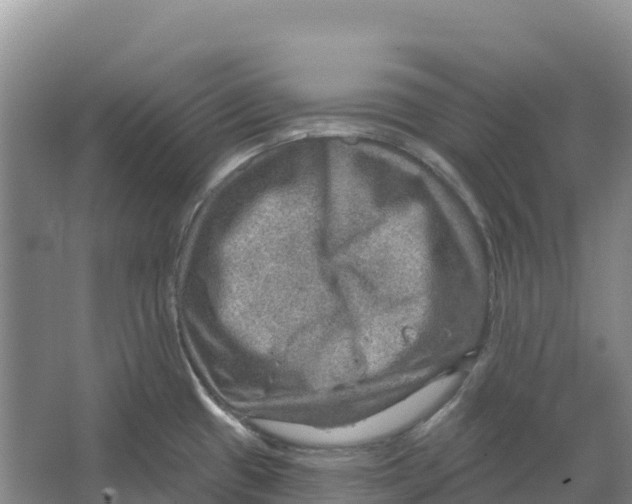 X0000066951433200604142038