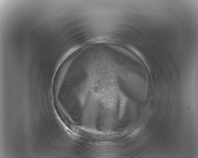 X0000066951434200604142038