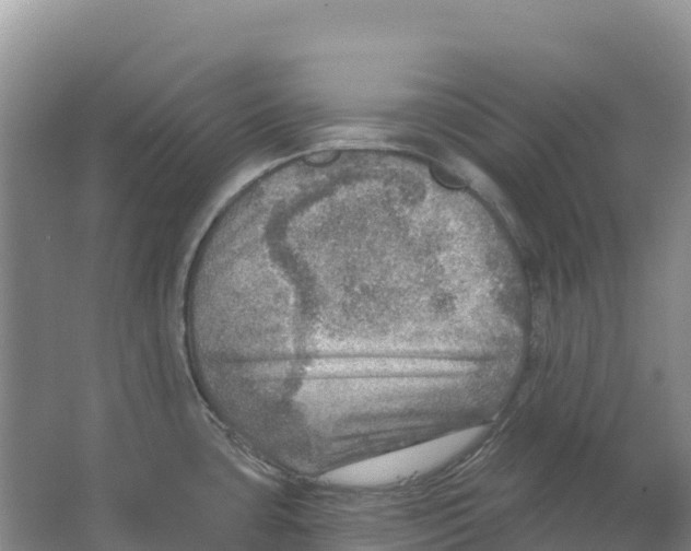 X0000066951435200604142038