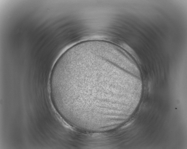 X0000066951436200604142038