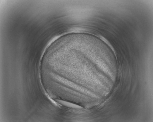 X0000066951437200604142038