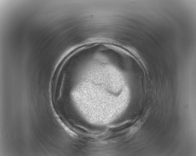 X0000066951438200604142038