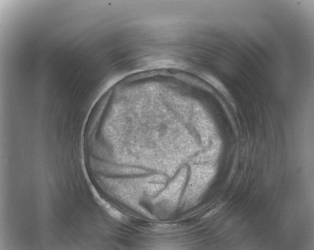 X0000066951439200604142038