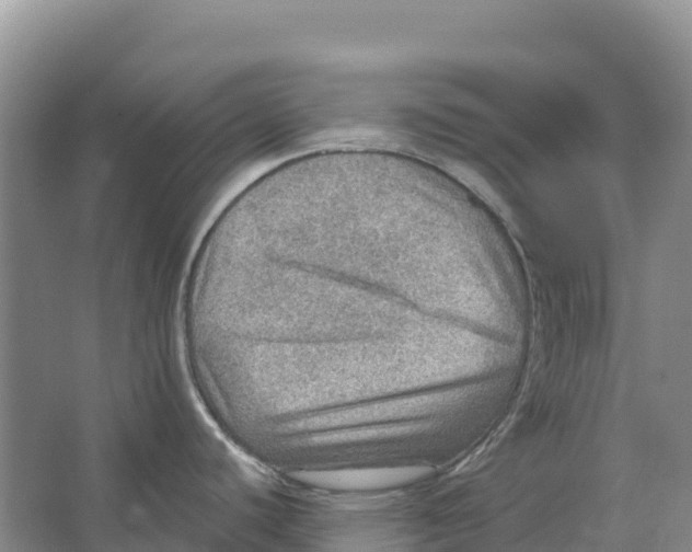 X0000066951440200604142038