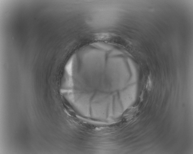 X0000066951441200604142037