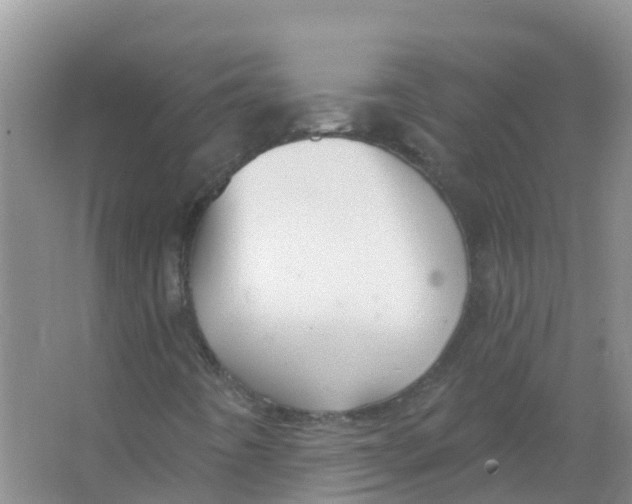 X0000066951442200604142037