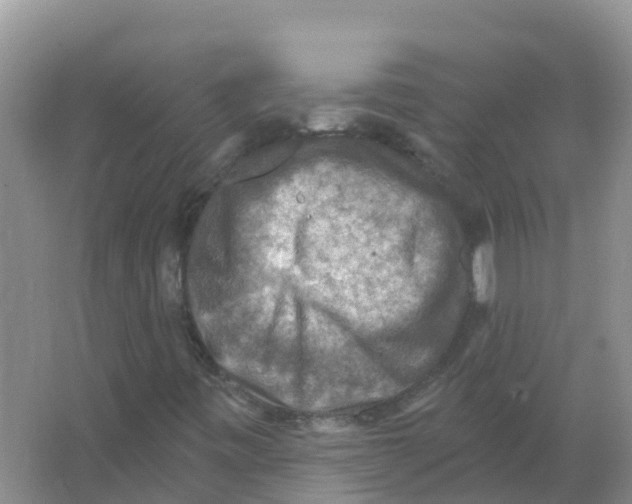 X0000066951443200604142037