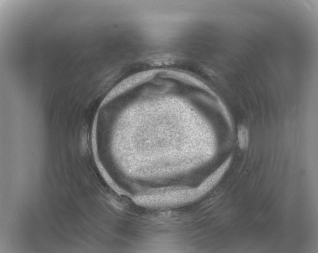 X0000066951444200604142037