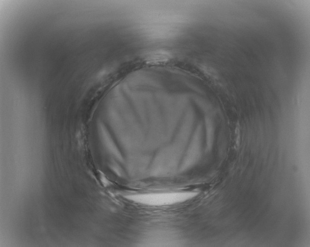 X0000066951445200604142037