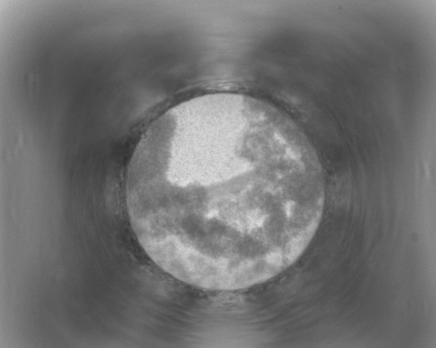 X0000066951446200604142037