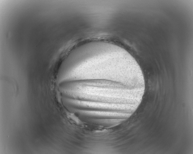 X0000066951447200604142037