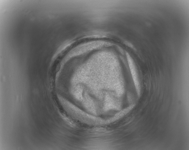 X0000066951448200604142037