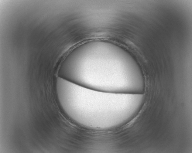 X0000066951449200604142037