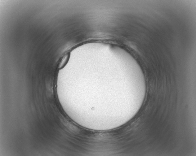 X0000066951451200604142037