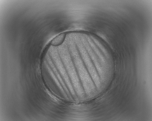 X0000066951452200604142037