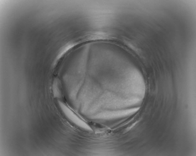 X0000066951453200604142037