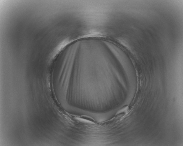 X0000066951455200604142037